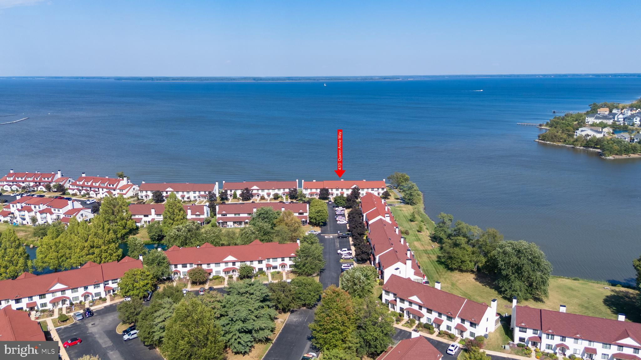 47 Queen Anne Way Chester, MD 21619 - Photo 3 of 44 a view of a flower