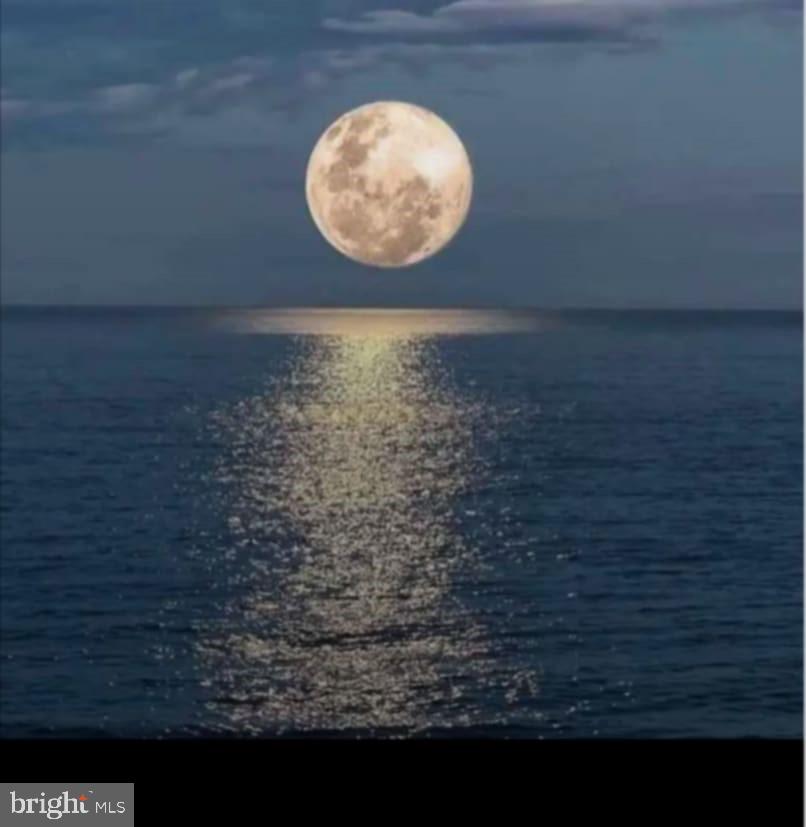 47 Queen Anne Way Chester, MD 21619 - Photo 40 of 44 a view of a room with a wooden floor and a table