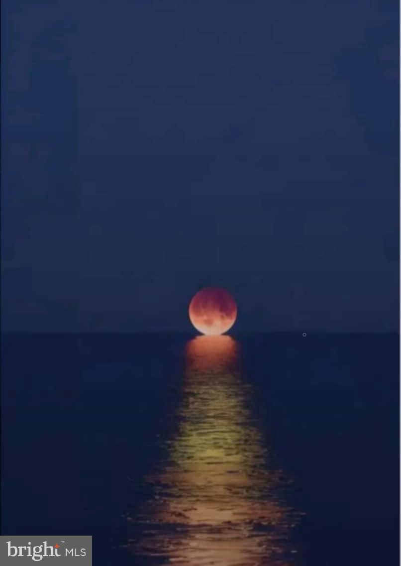 47 Queen Anne Way Chester, MD 21619 - Photo 41 of 44 a view of a small space