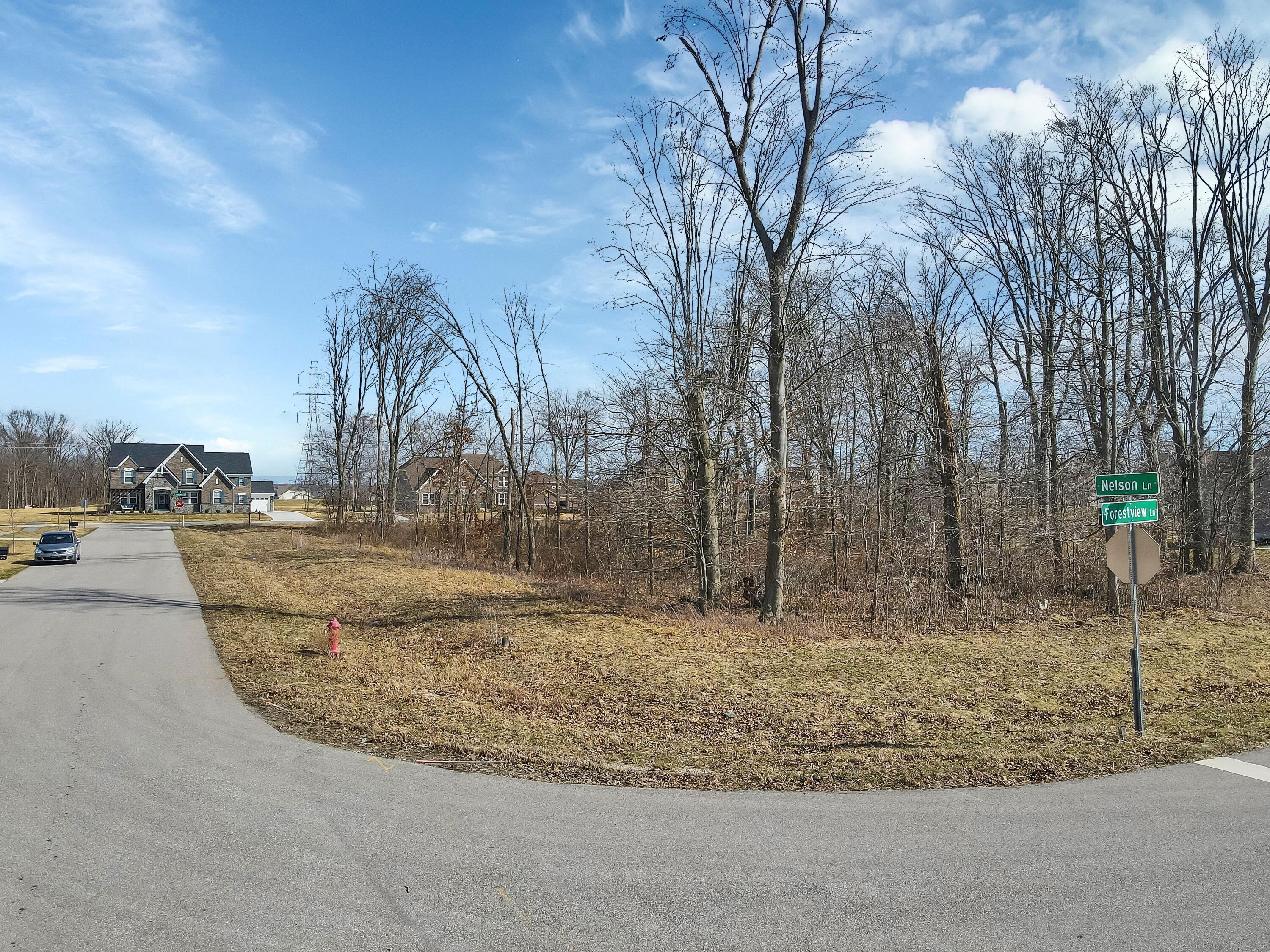 2185 Nelson Lane Delaware, OH 43015 - Photo 10 of 11 2185pic10