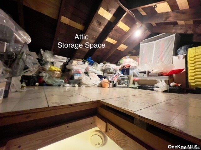 220-34 67th Avenue, Unit 2LEVELS Queens, NY 11364 - Photo 17 of 30 Storage space