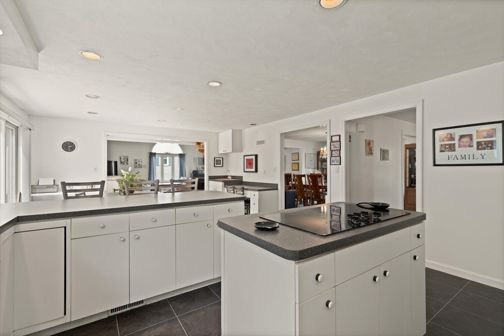 47 Woodridge Road Milford, MA 01757 - Photo 19 of 29 Gallery Image 19
