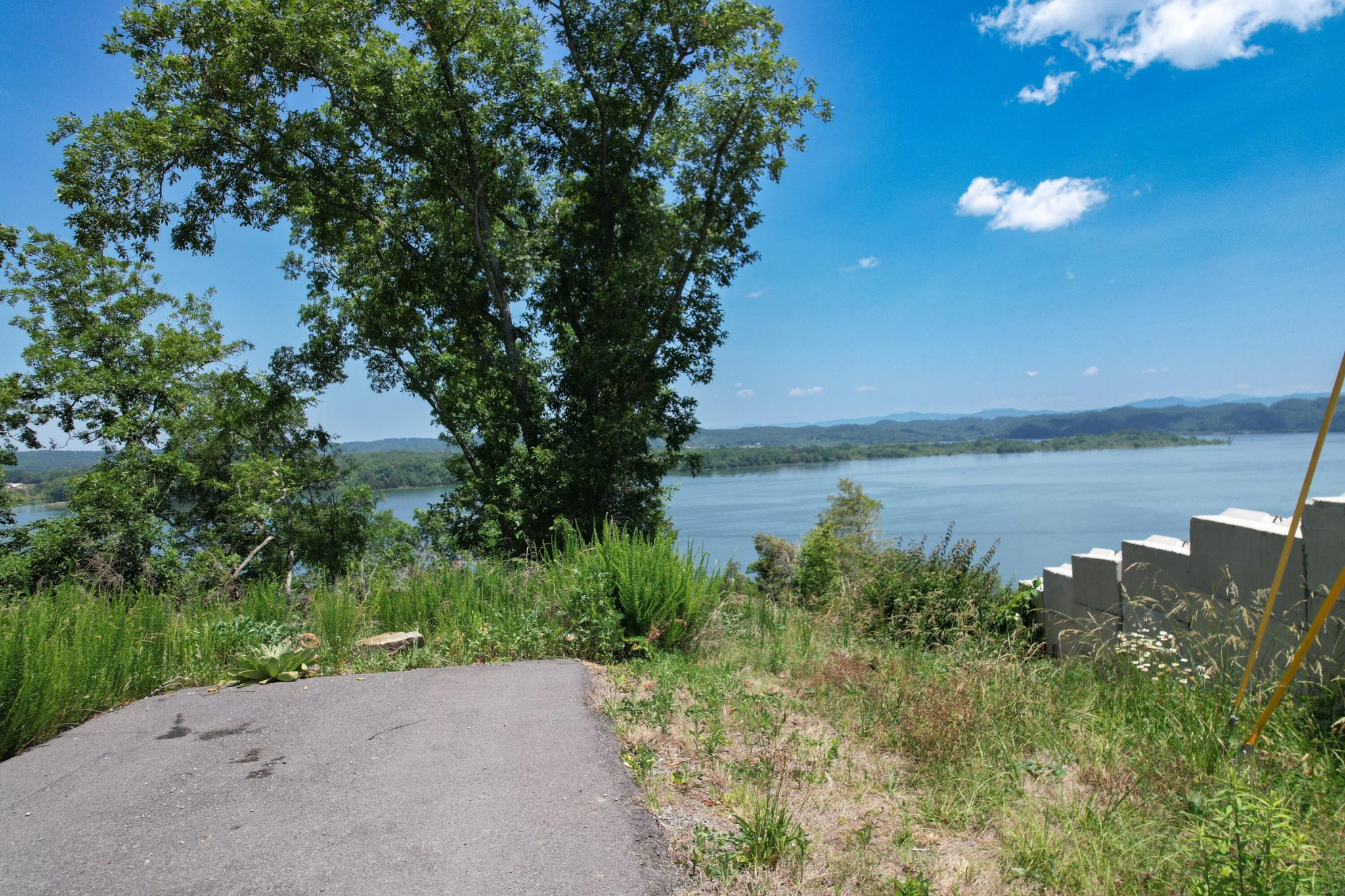 74 Clear Point Dandridge, TN 37725 - Photo 8 of 29 a view of a lake with a yard
