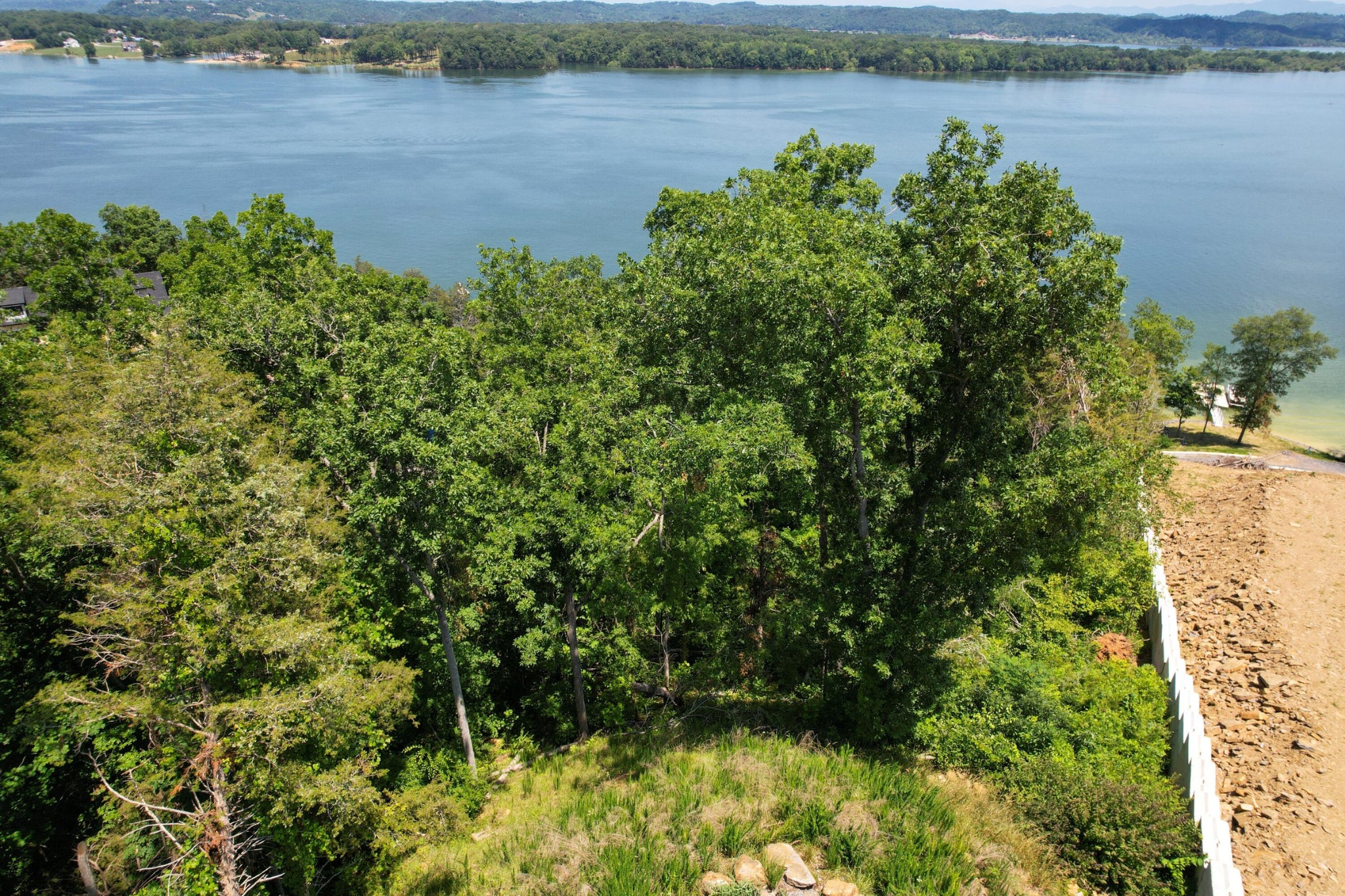 74 Clear Point Dandridge, TN 37725 - Photo 9 of 29 a view of a lake with a yard and large trees