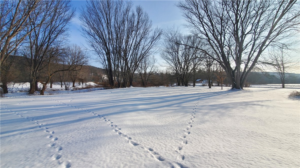 112 Main Street Unadilla, NY 13849 - Photo 39 of 42