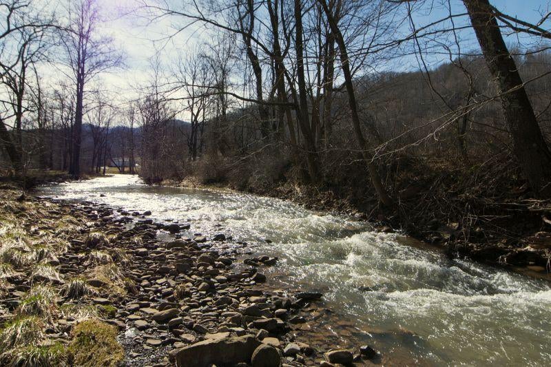 369 Lick Creek Road Meadow Bridge, WV 25976 - Photo 10 of 75 Gallery Image 10