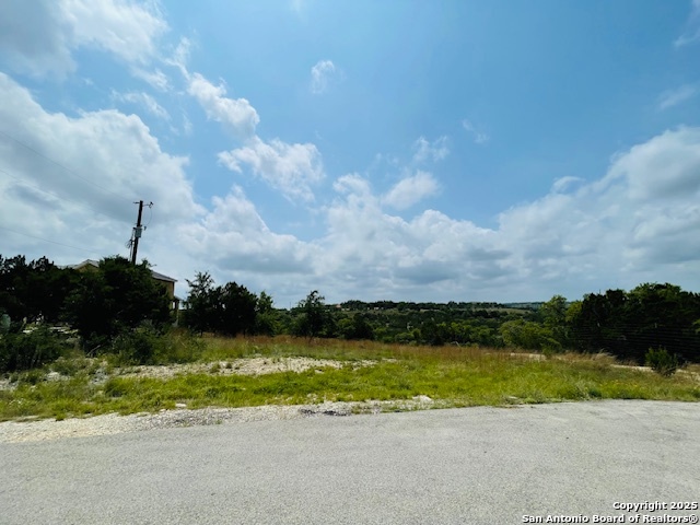 291 Star Grass Spring Branch, TX 78070 - Photo 3 of 7 a view of a lake