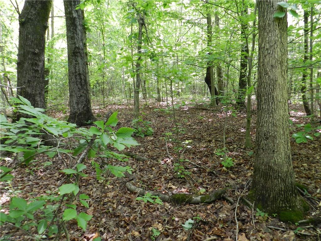 0 Jake Shoaf Road Lexington, NC 27295 - Photo 1 of 18 Gallery Image 1