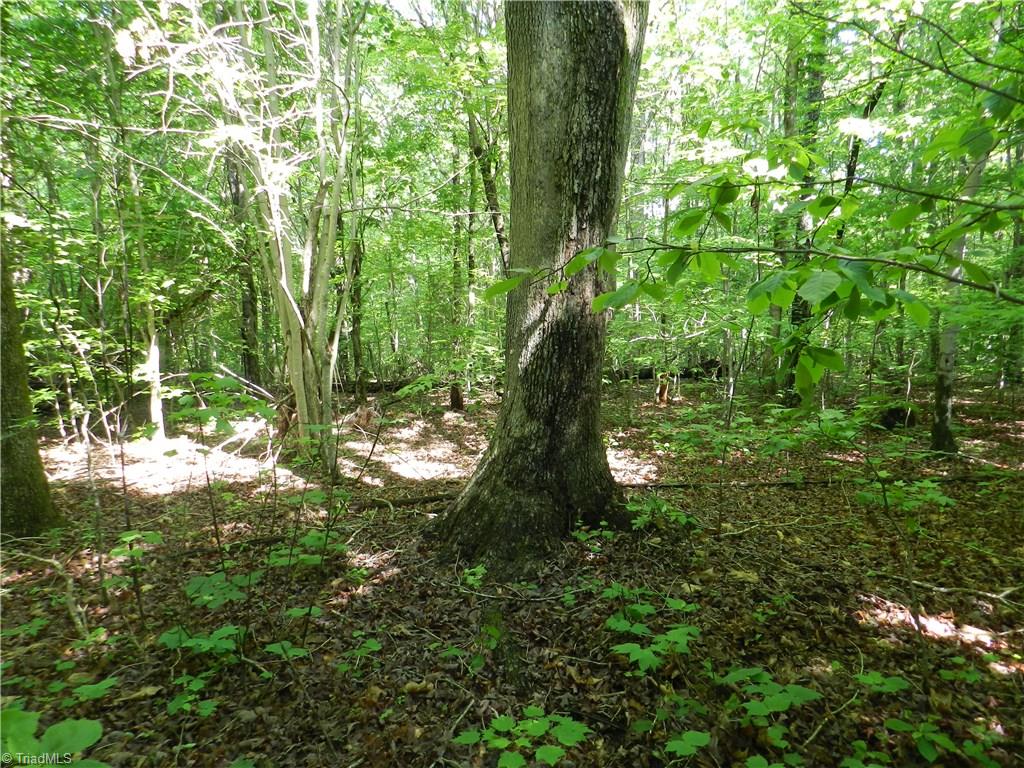 0 Jake Shoaf Road Lexington, NC 27295 - Photo 2 of 18 Gallery Image 2