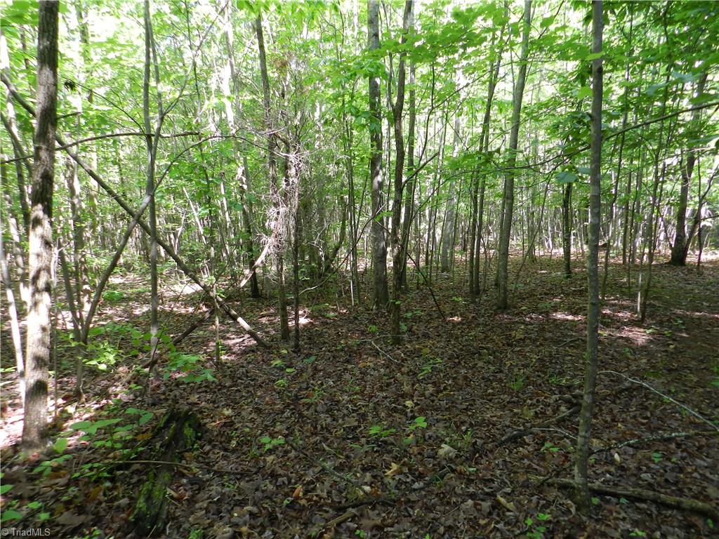 0 Jake Shoaf Road Lexington, NC 27295 - Photo 12 of 18 Gallery Image 12
