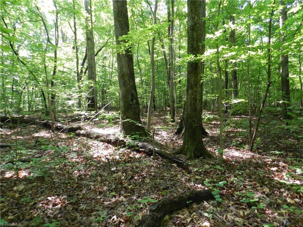 0 Jake Shoaf Road Lexington, NC 27295 - Photo 14 of 18 Gallery Image 14