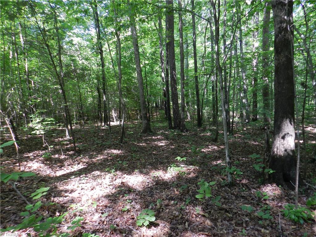 0 Jake Shoaf Road Lexington, NC 27295 - Photo 15 of 18 Gallery Image 15
