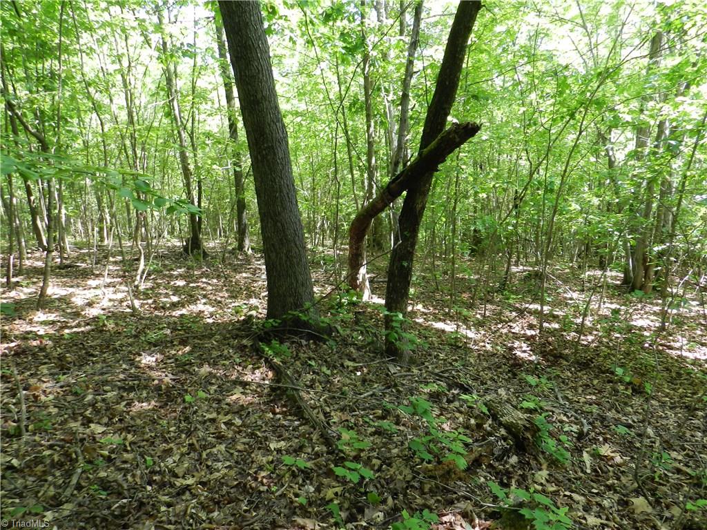 0 Jake Shoaf Road Lexington, NC 27295 - Photo 16 of 18 Gallery Image 16