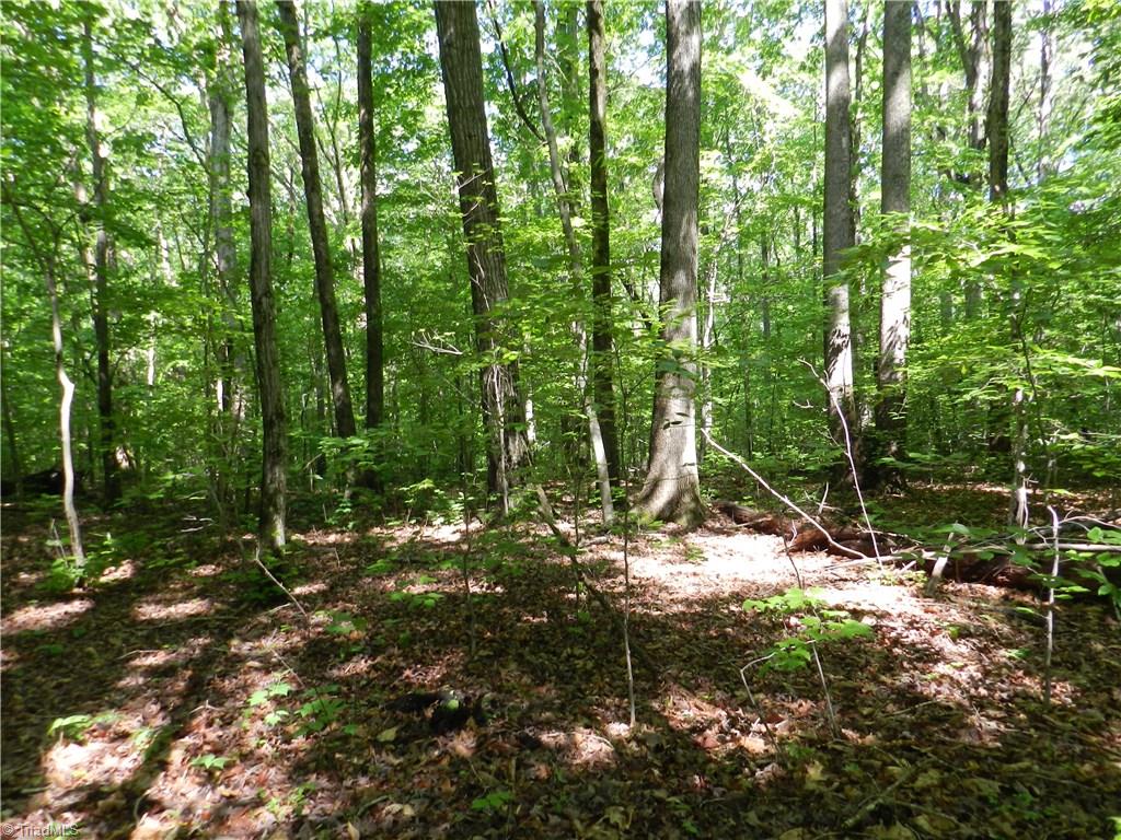 0 Jake Shoaf Road Lexington, NC 27295 - Photo 4 of 18 Gallery Image 4
