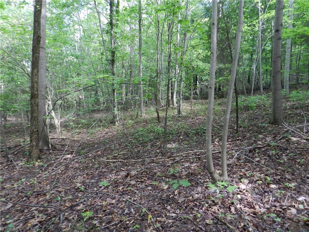 0 Jake Shoaf Road Lexington, NC 27295 - Photo 5 of 18 Gallery Image 5