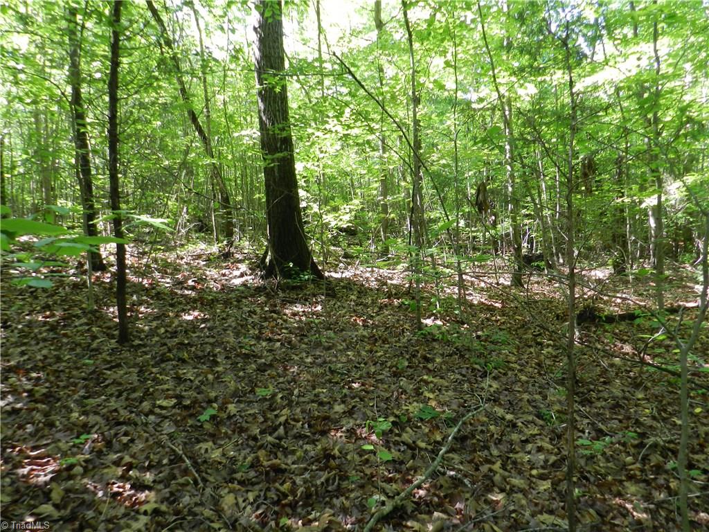 0 Jake Shoaf Road Lexington, NC 27295 - Photo 6 of 18 Gallery Image 6
