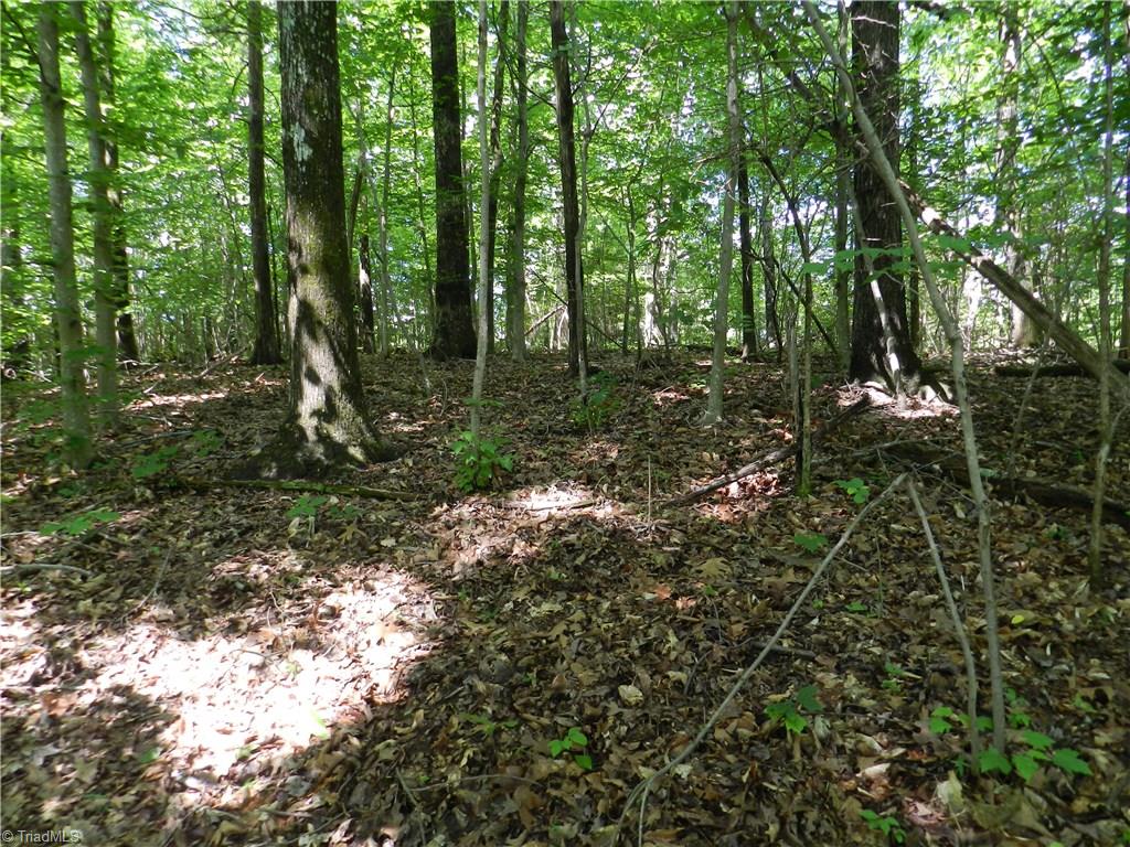 0 Jake Shoaf Road Lexington, NC 27295 - Photo 10 of 18 Gallery Image 10