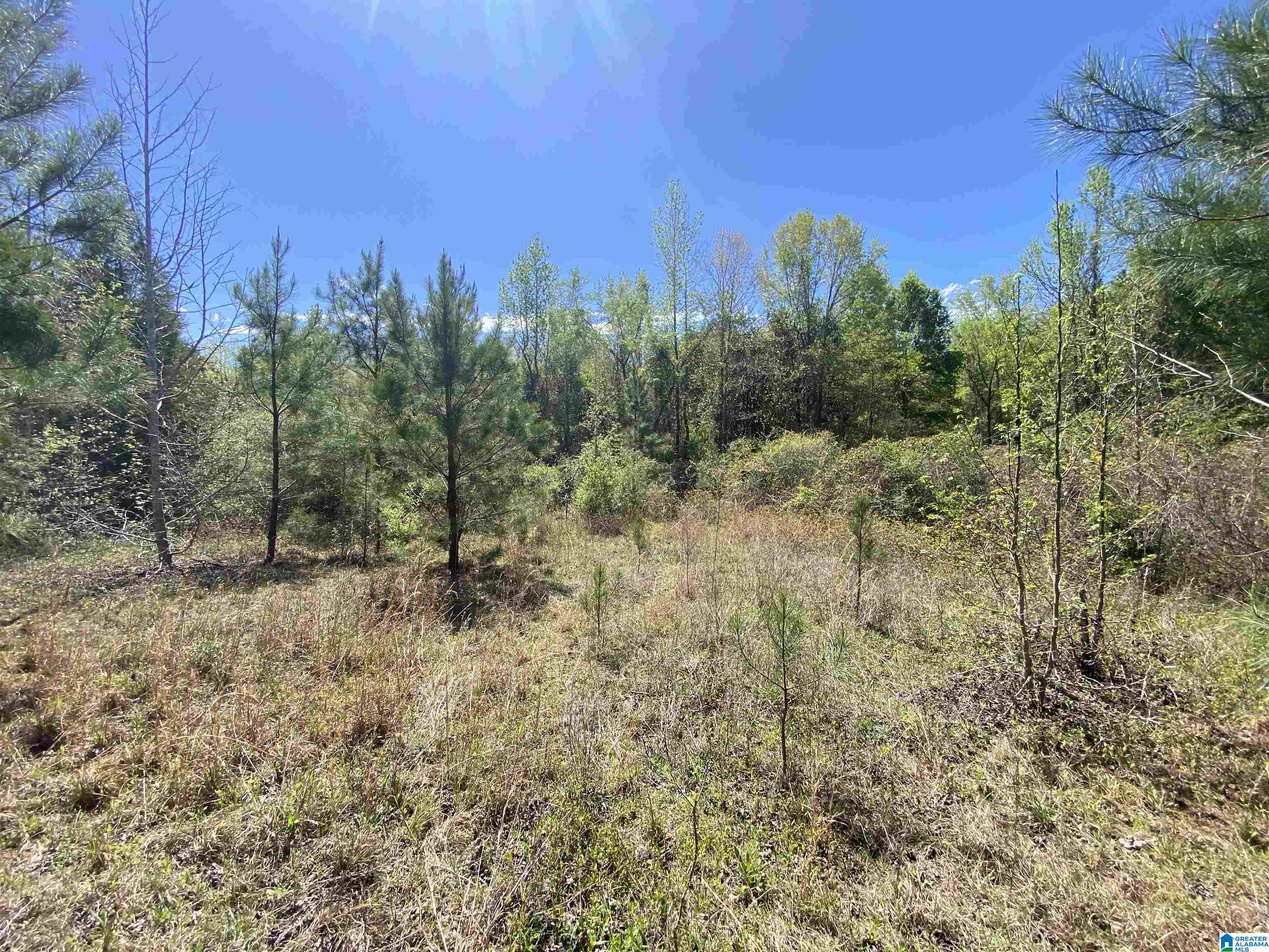 0 Richardson Road Brewton, AL 36426 - Photo 23 of 47