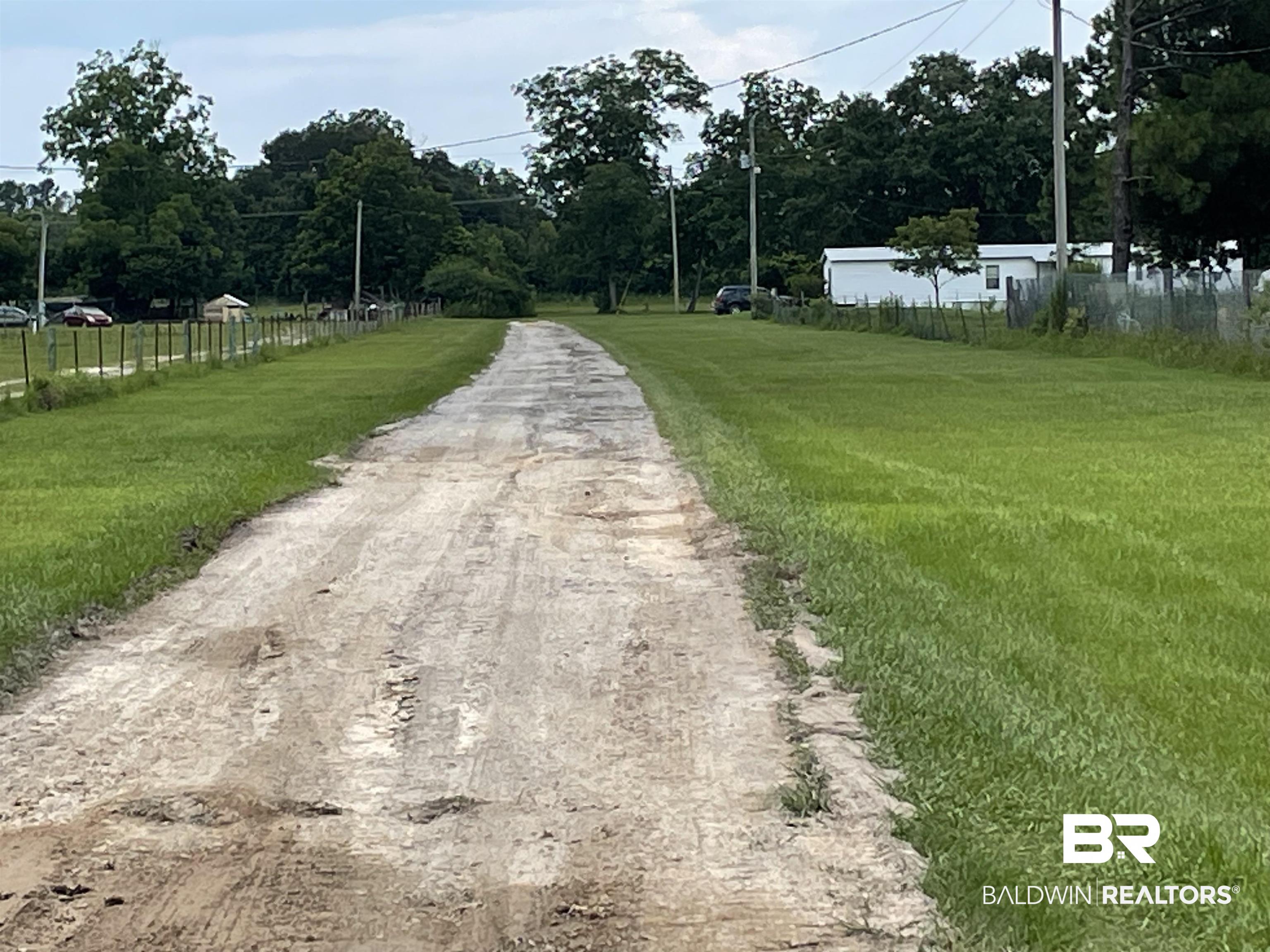 12753 Breman Road Elberta, AL 36530 - Photo 8 of 14 View of street