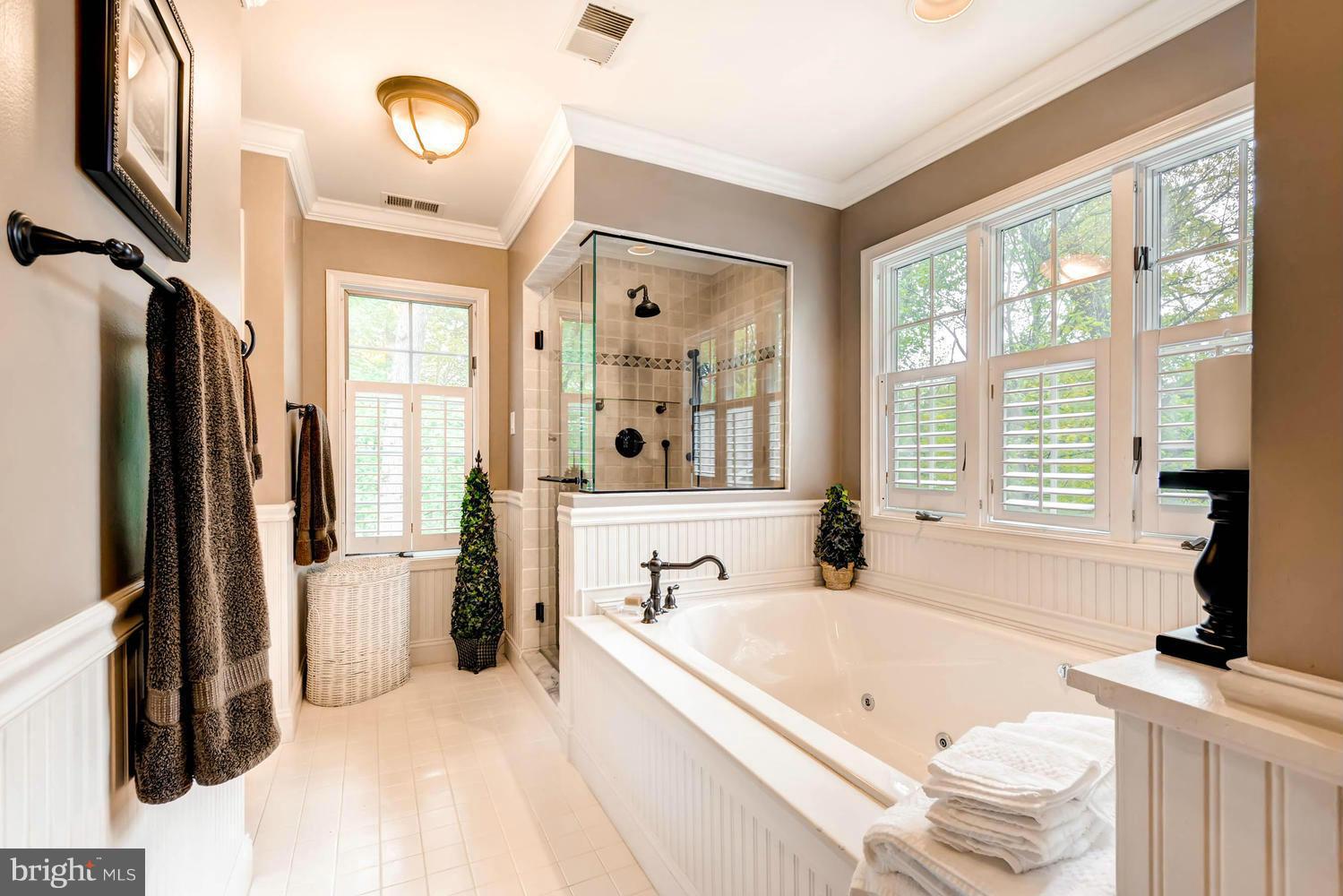 10656 Quarterstaff Road Columbia, MD 21044 - Photo 20 of 30 Bath (Master)