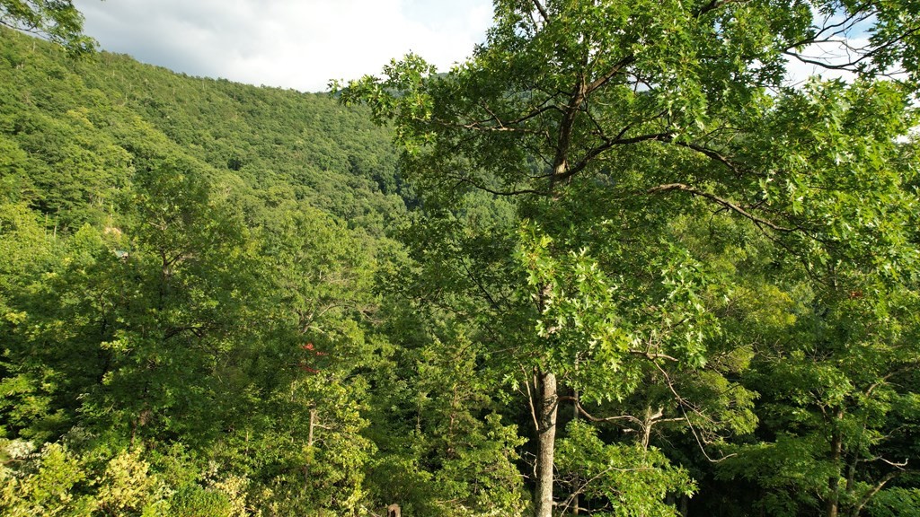 0 Trapper John Way Sevierville, TN 37862 - Photo 11 of 18