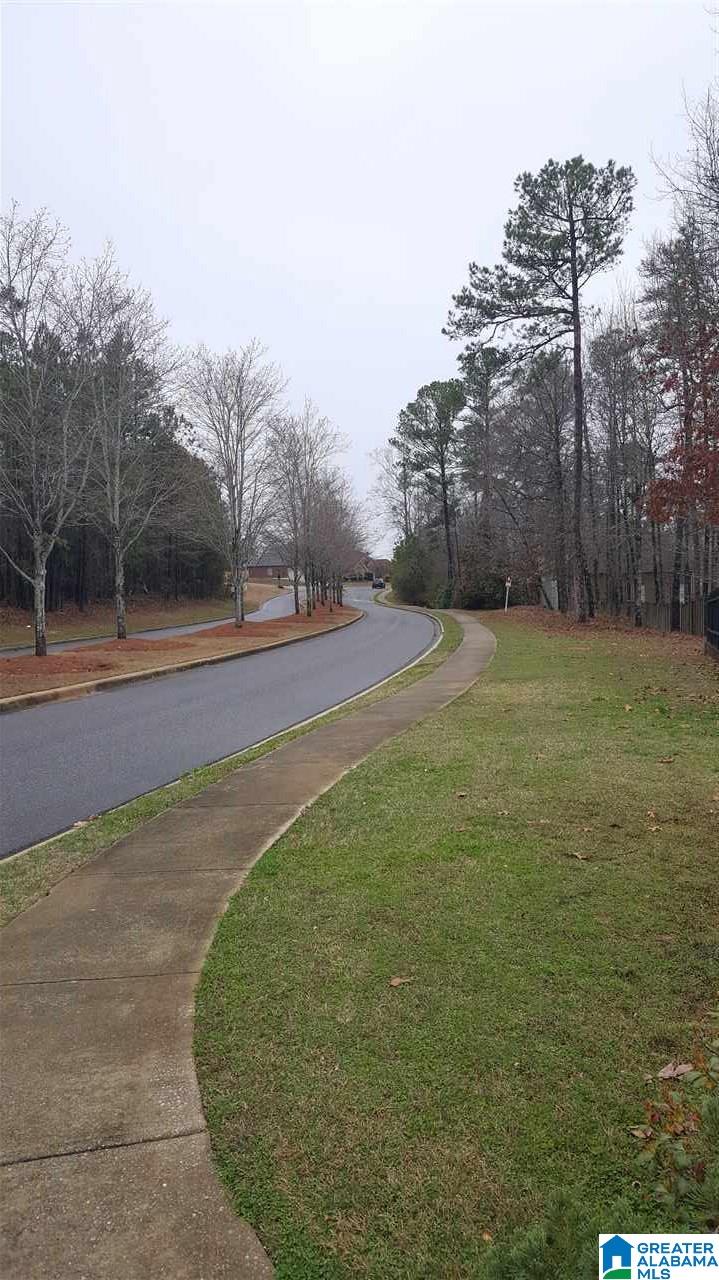 112 Grande View Circle Alabaster, AL 35114 - Photo 26 of 29