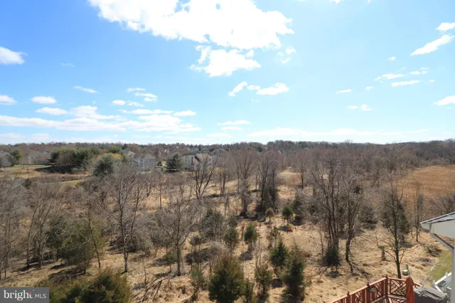 a view of balcony with wooden floor and a potted plant