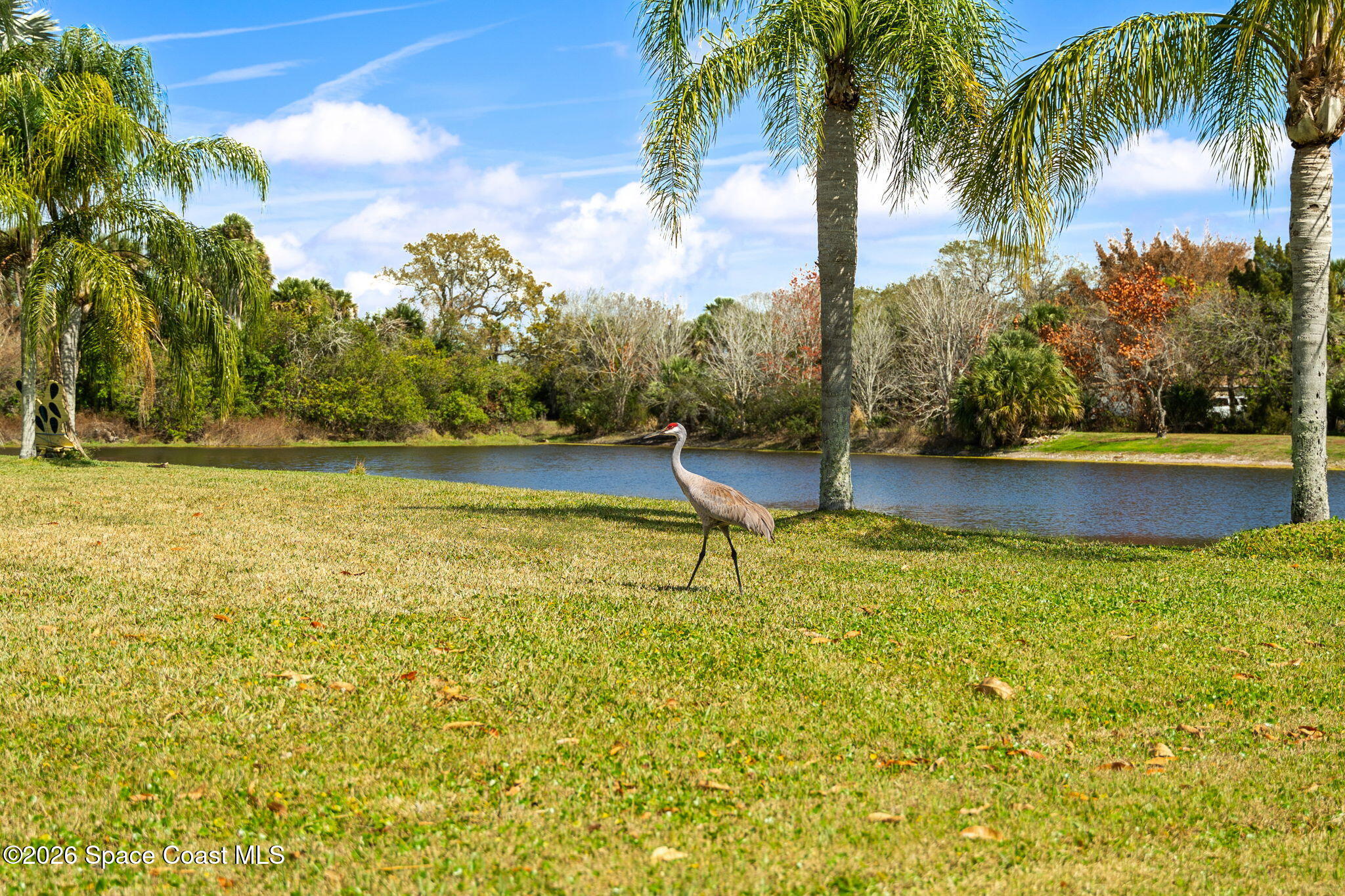 5137 Royal Paddock Way Merritt Island, FL 32953 - Photo 105 of 132 DSC00119_1