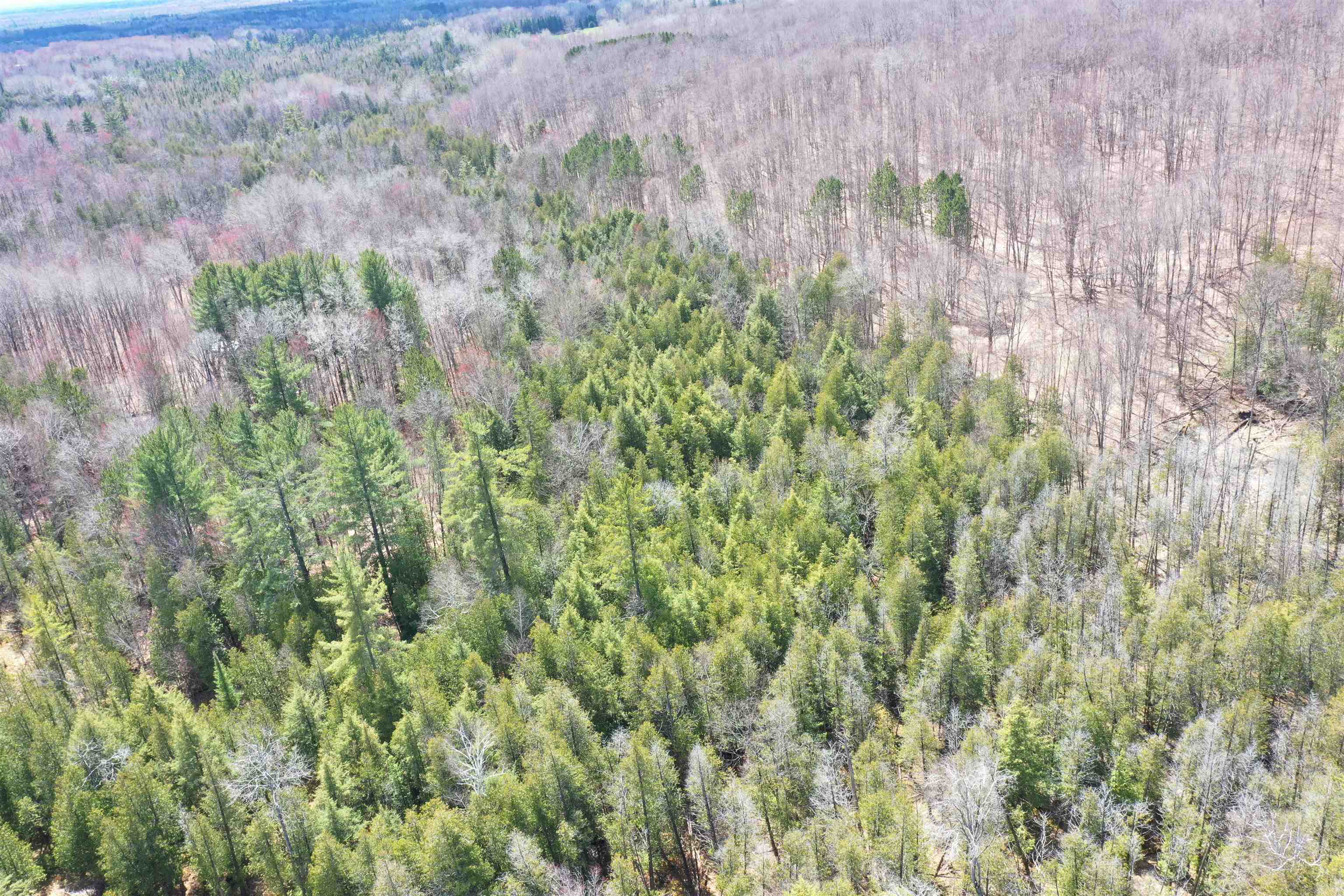 Na Maltby Road Lupton, MI 48635 - Photo 24 of 30