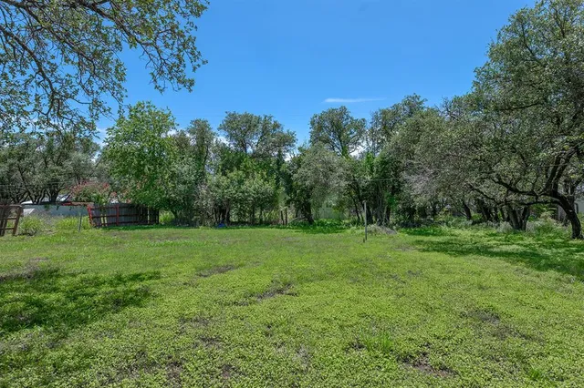 a view of a grassy field with trees in the background