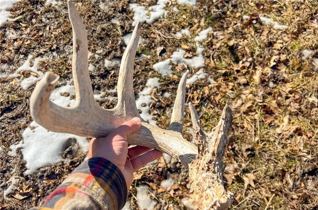 $814,200 | Hwy C Highway, Albany, MO 64402