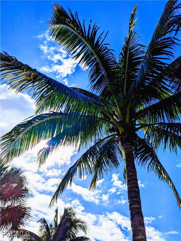 2623 Somerville Loop, Unit 508 Cape Coral, FL 33991 - Photo 29 of 50