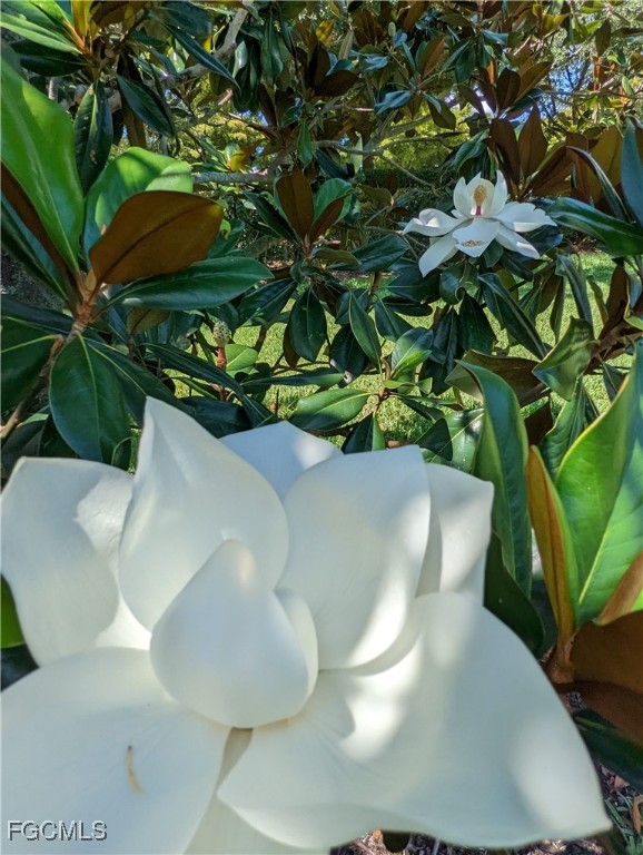 2623 Somerville Loop, Unit 508 Cape Coral, FL 33991 - Photo 33 of 50