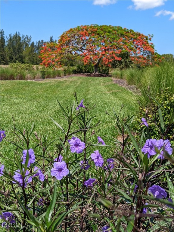 2623 Somerville Loop, Unit 508 Cape Coral, FL 33991 - Photo 35 of 50