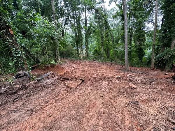 a view of a forest with trees in the background