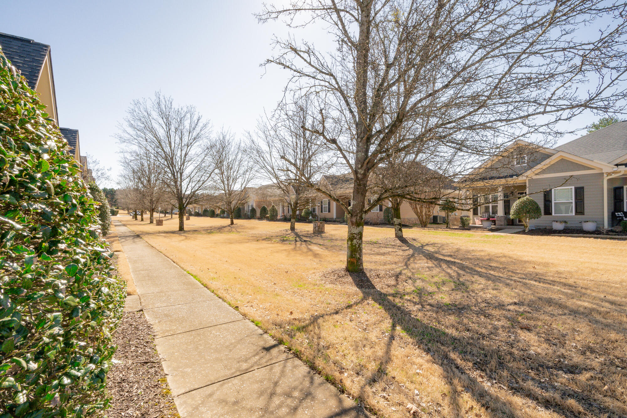 763 Callaway Court Chattanooga, TN 37421 - Photo 34 of 47 763callaway-34