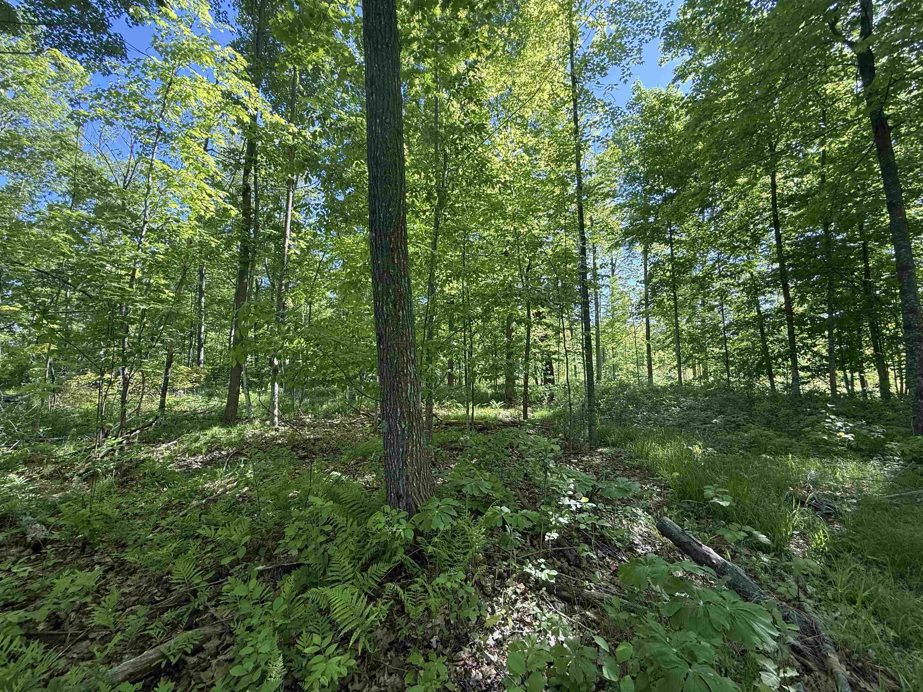 N5610 Resort Road Bonduel, WI 54107 - Photo 11 of 13