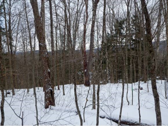 Lot #2 Old Talc Mine Road Moretown, VT 05660 - Photo 4 of 7