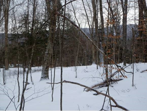 Lot #2 Old Talc Mine Road Moretown, VT 05660 - Photo 5 of 7