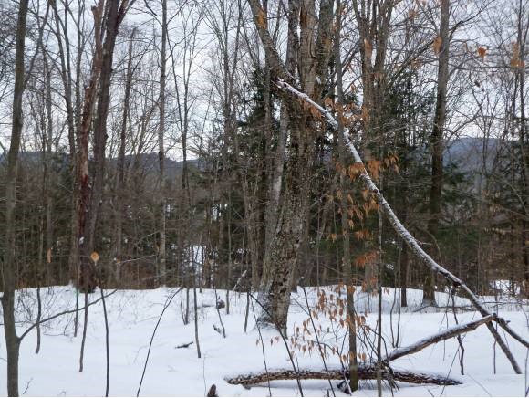 Lot #2 Old Talc Mine Road Moretown, VT 05660 - Photo 7 of 7