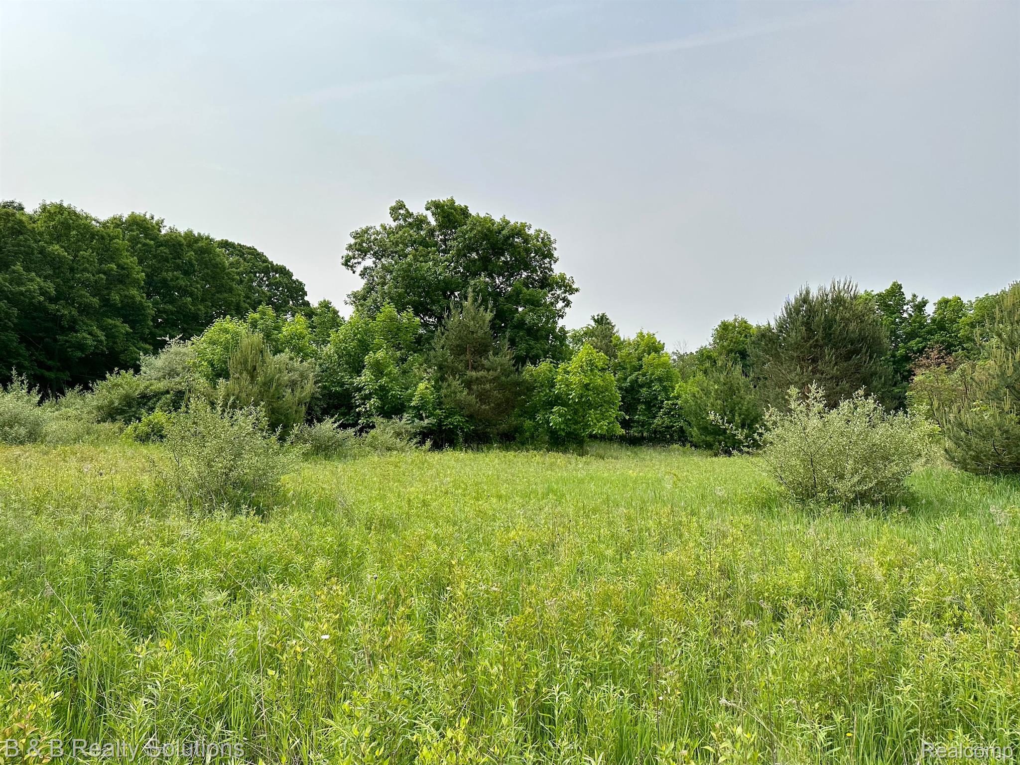 0 West Coulter Road Lapeer, MI 48446 - Photo 3 of 13 Gallery Image 3