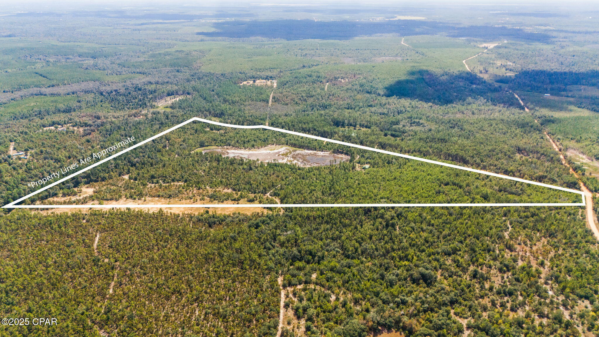 0 Hasty Pond Road Marianna, FL 32448 - Photo 11 of 41