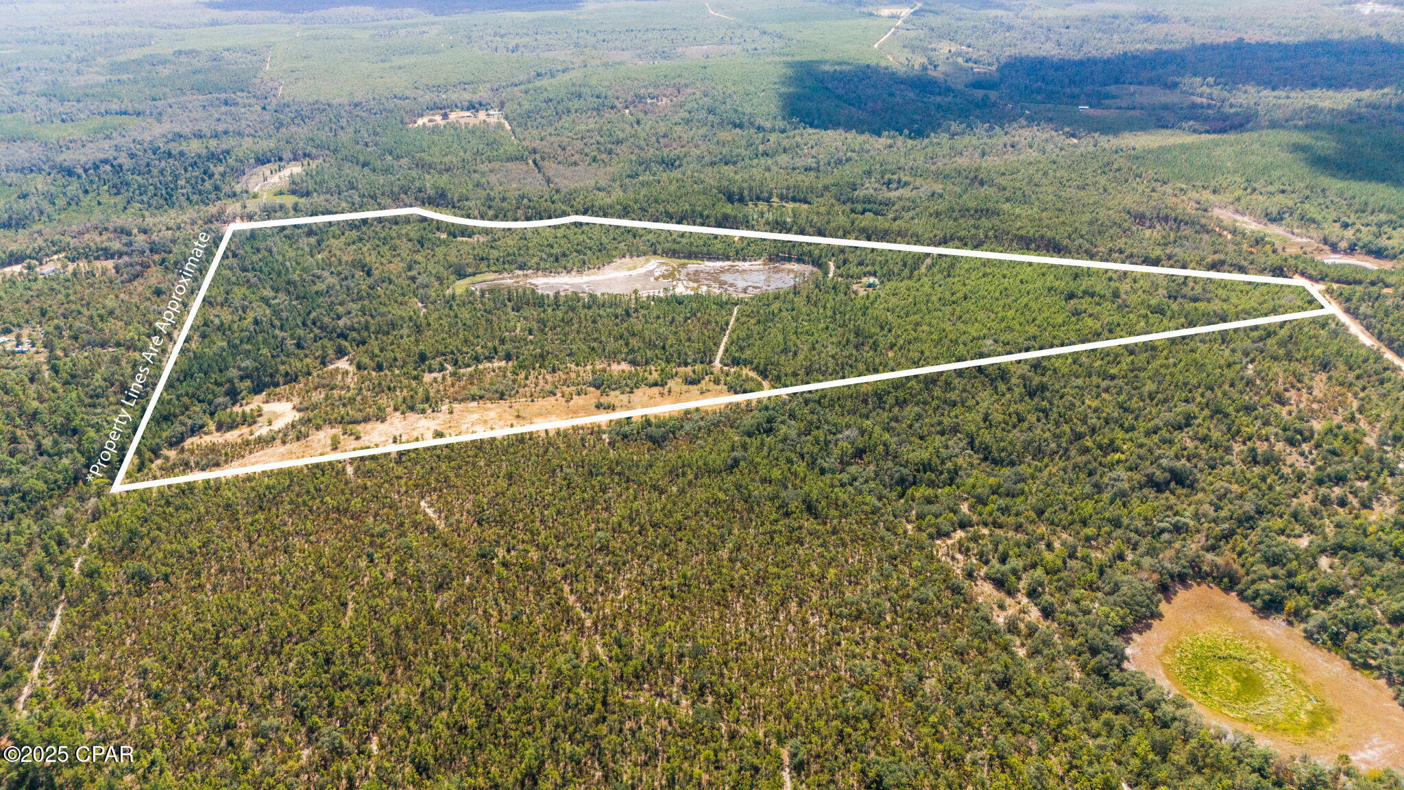 0 Hasty Pond Road Marianna, FL 32448 - Photo 12 of 41