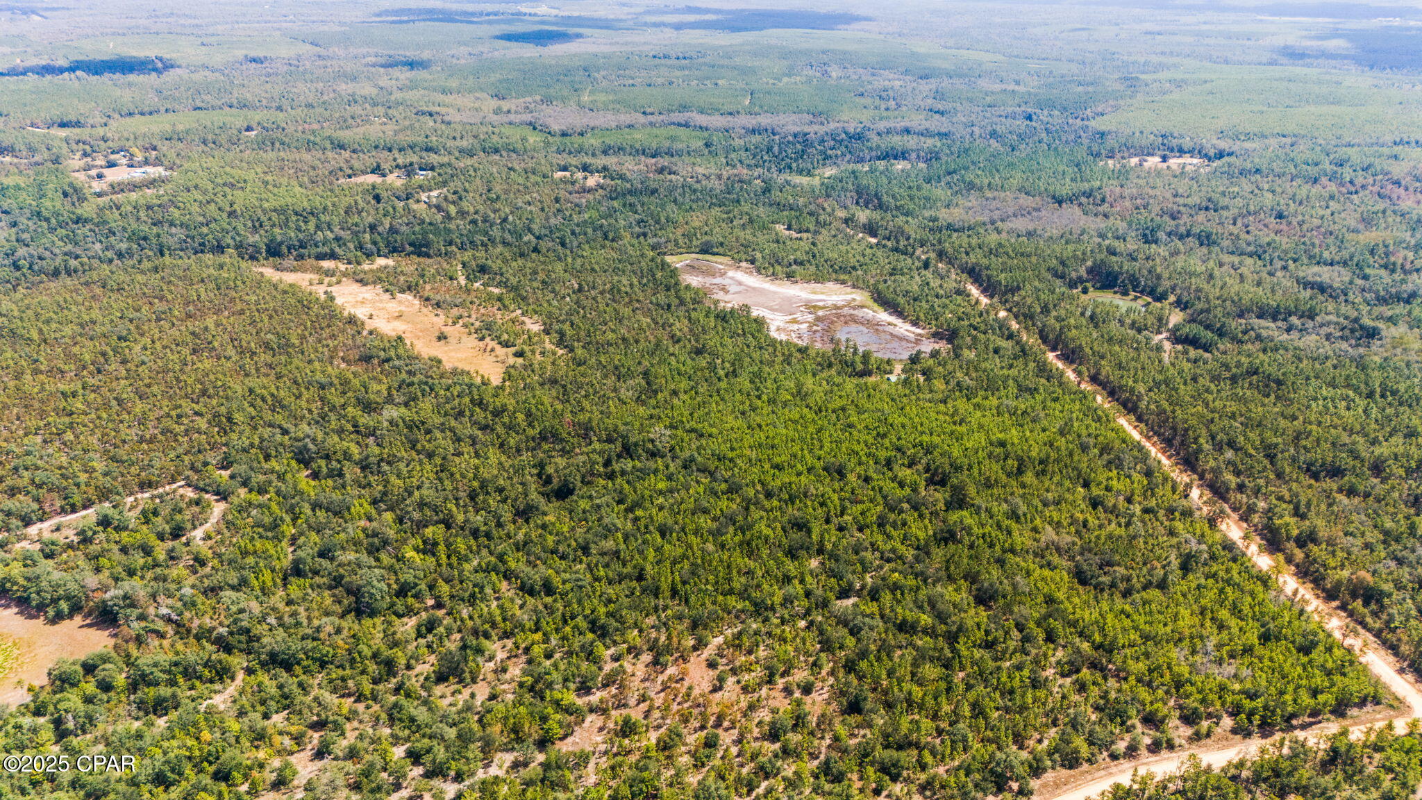 0 Hasty Pond Road Marianna, FL 32448 - Photo 21 of 41