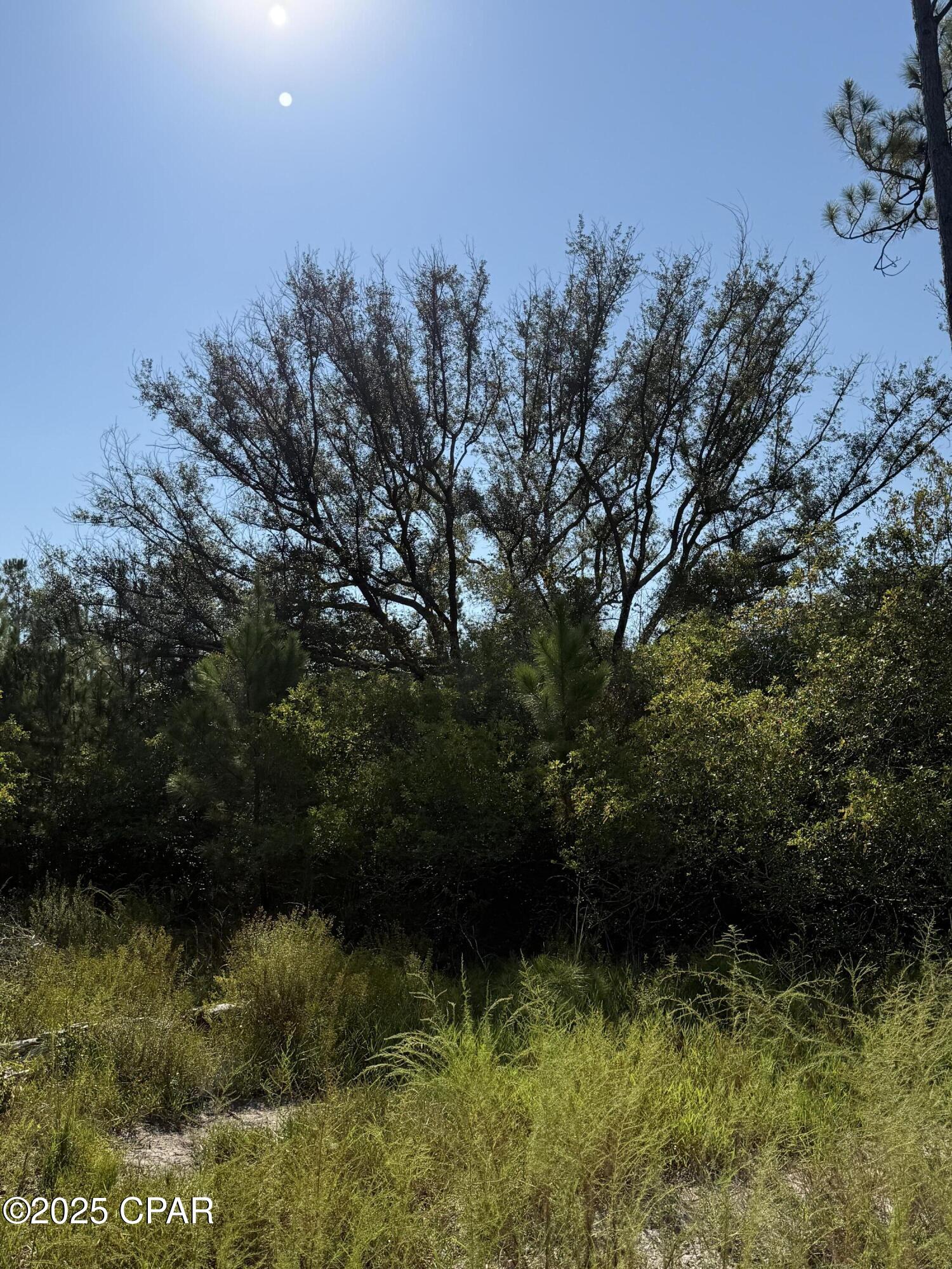 0 Hasty Pond Road Marianna, FL 32448 - Photo 27 of 41