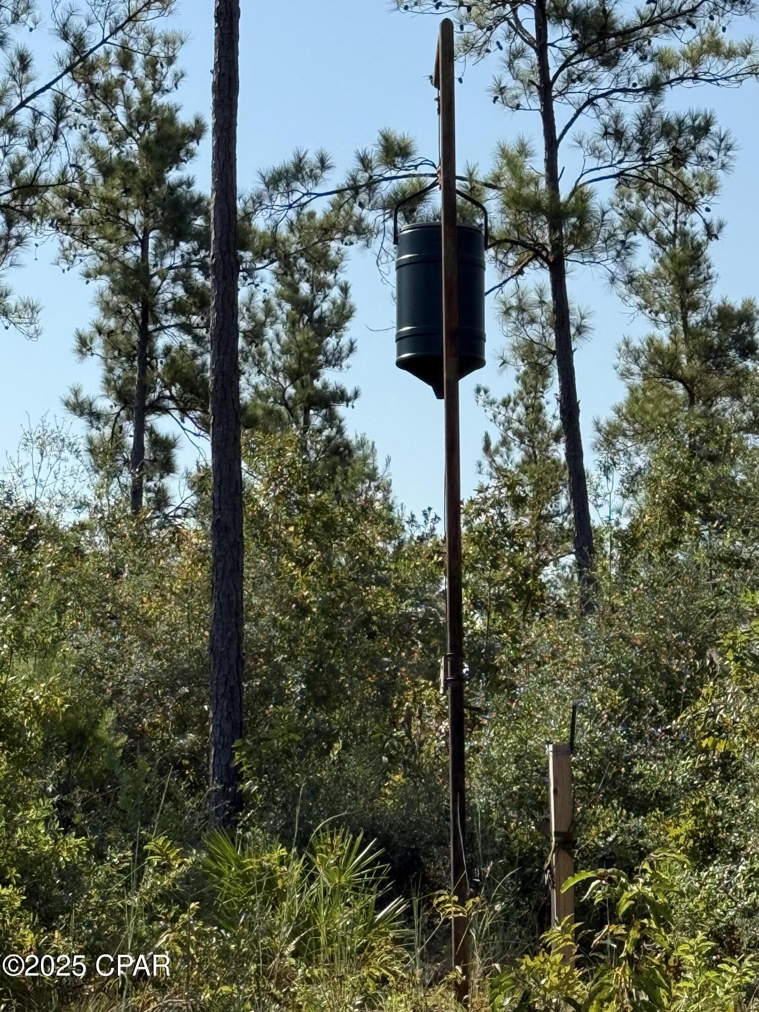 0 Hasty Pond Road Marianna, FL 32448 - Photo 29 of 41