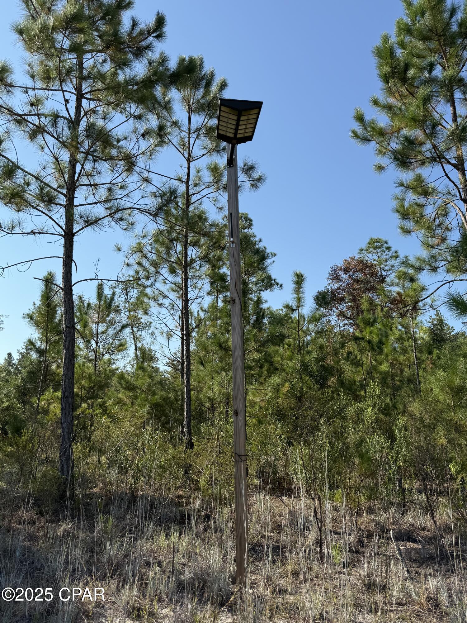 0 Hasty Pond Road Marianna, FL 32448 - Photo 34 of 41