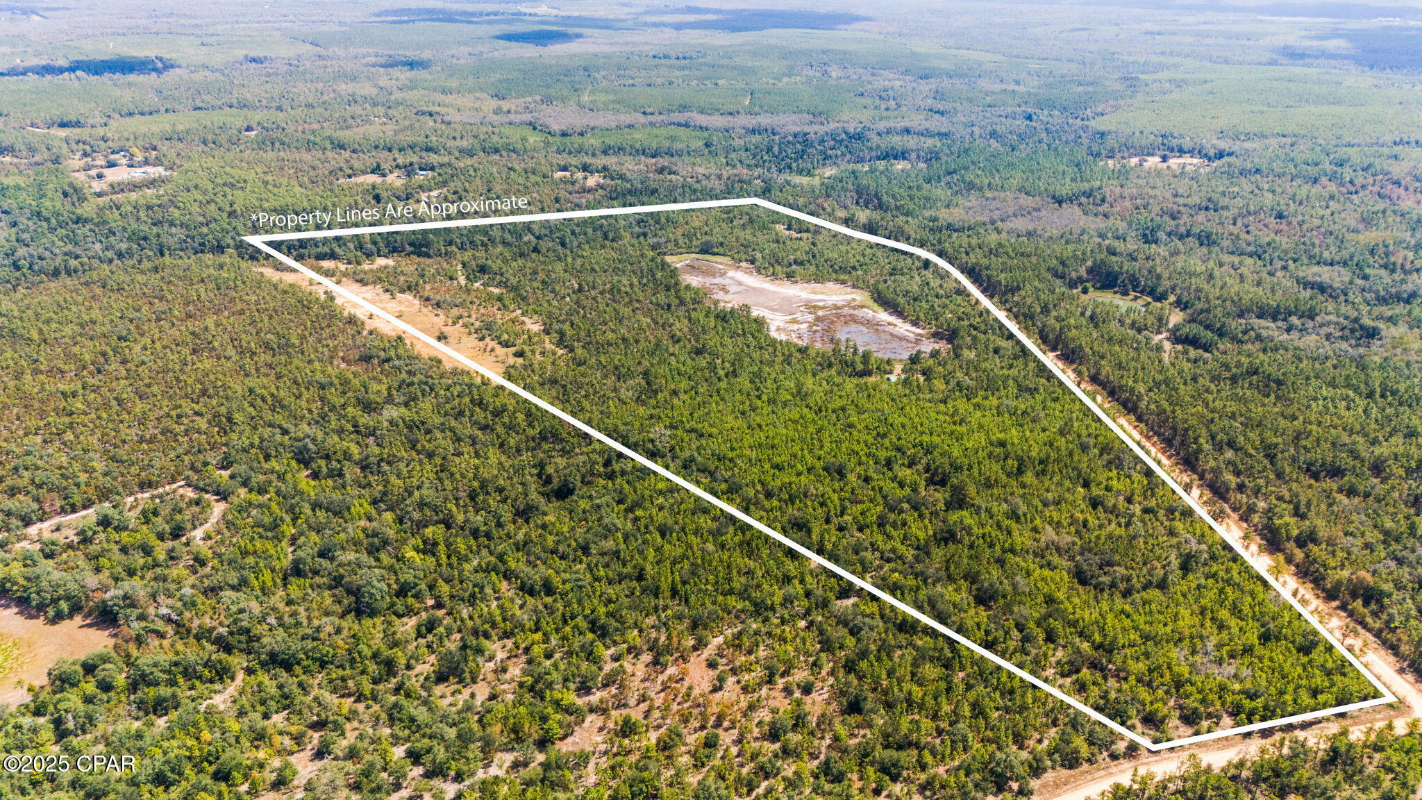 0 Hasty Pond Road Marianna, FL 32448 - Photo 5 of 41