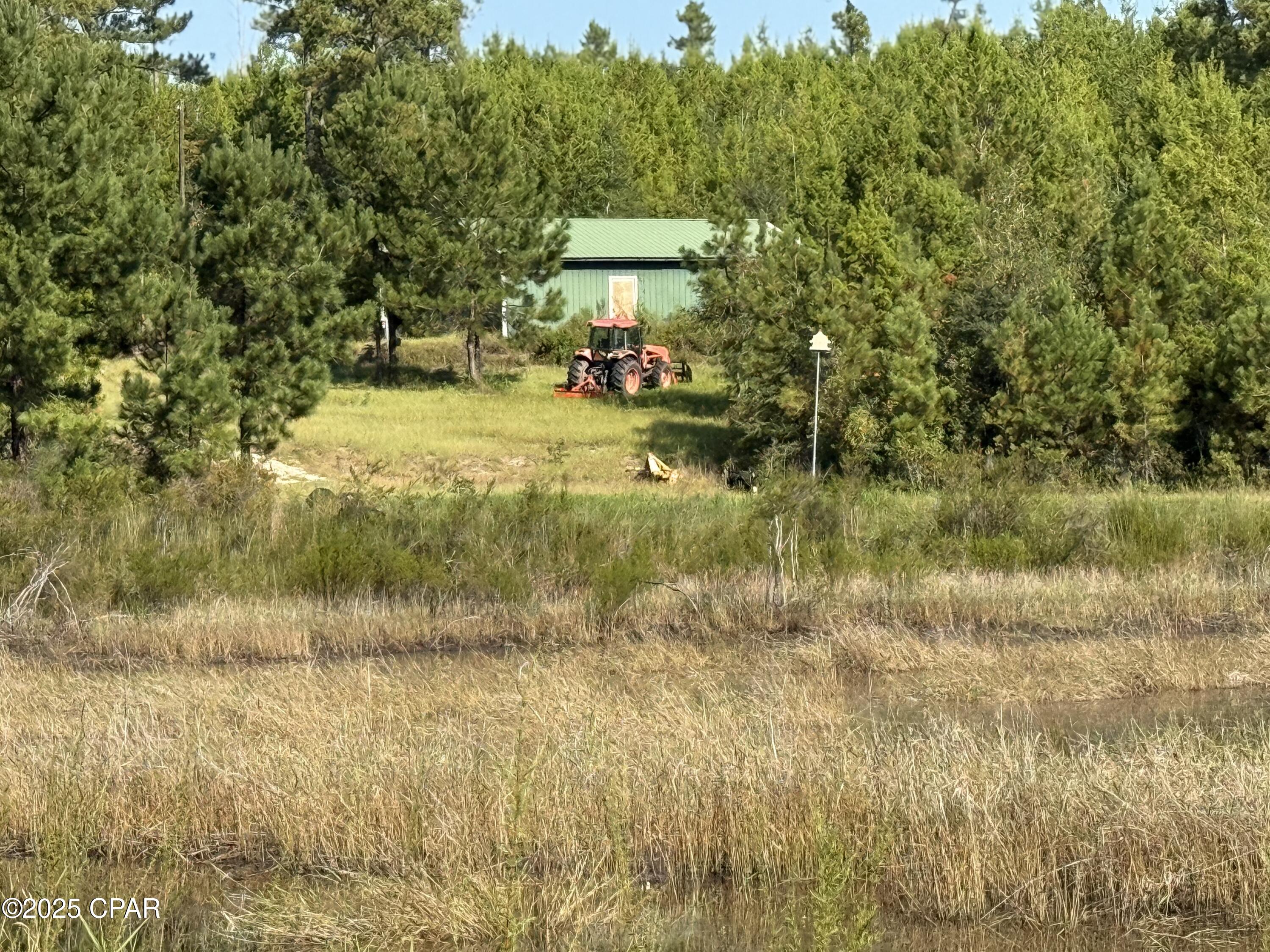 0 Hasty Pond Road Marianna, FL 32448 - Photo 6 of 41