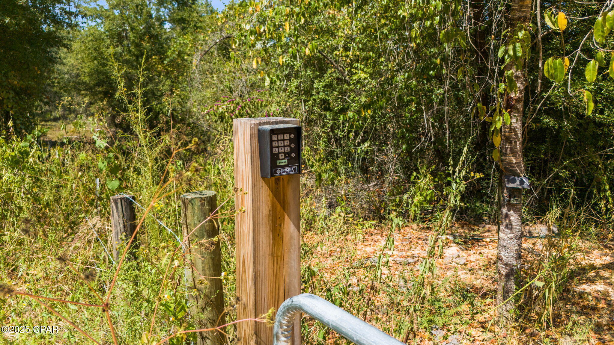 0 Hasty Pond Road Marianna, FL 32448 - Photo 9 of 41